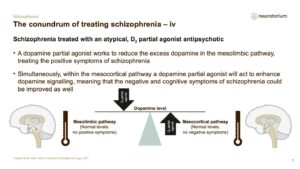 Schizophrenia - Neurobiology and Aetiology - slide 30